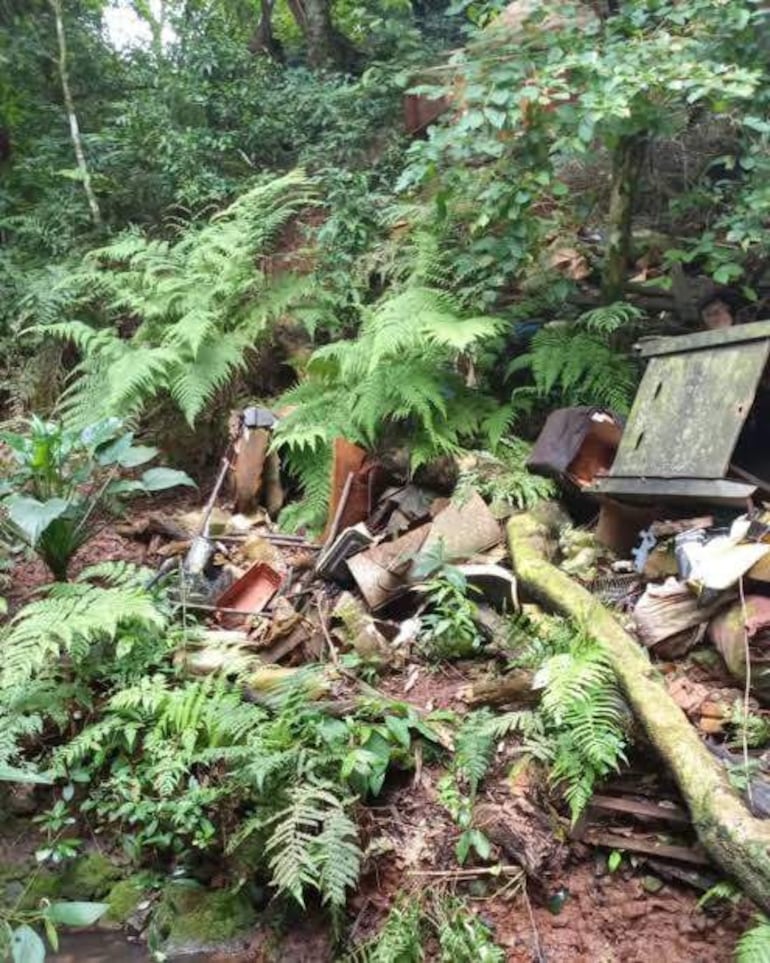 Entorno natural con vegetación densa y desechos, transmitiendo abandono en Plaza España de Asunción.