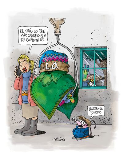 Lorito Óga al fin consigue su proposito