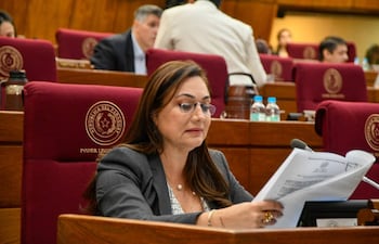 Rocío Abed, líder del Cartismo, impulsó las modificaciones del proyecto de ley.