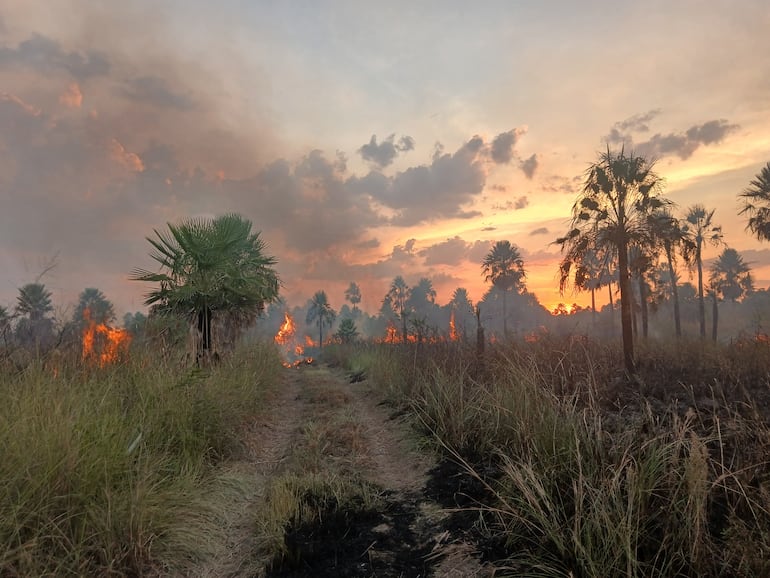 Incendio de gran magnitud afectó la Reserva Aguapey en San Bernardino.