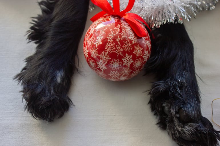 Perro y bolas navideñas.
