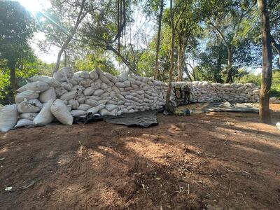 Alijo compuesto por 960 bolsas de marihuana picada detectado en Cascada.