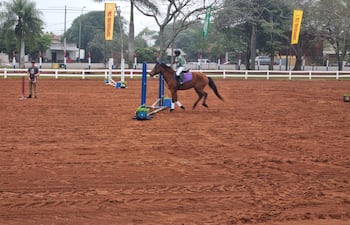 Jinete con casco y vestimenta ecuestre salta un obstáculo decorado, mientras un espectador observa con camiseta gris y pantalones de camuflaje.