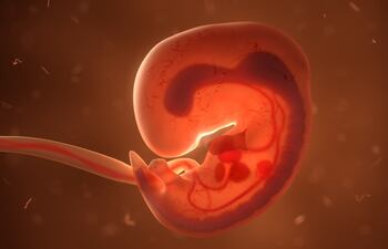 Seis días después de que la Suprema Corte de Alabama dictaminara que los embriones congelados son niños, las clínicas de fertilidad del estado se encuentran analizando las implicaciones legales para los médicos de una polémica decisión que podría tener consecuencias impredecibles.