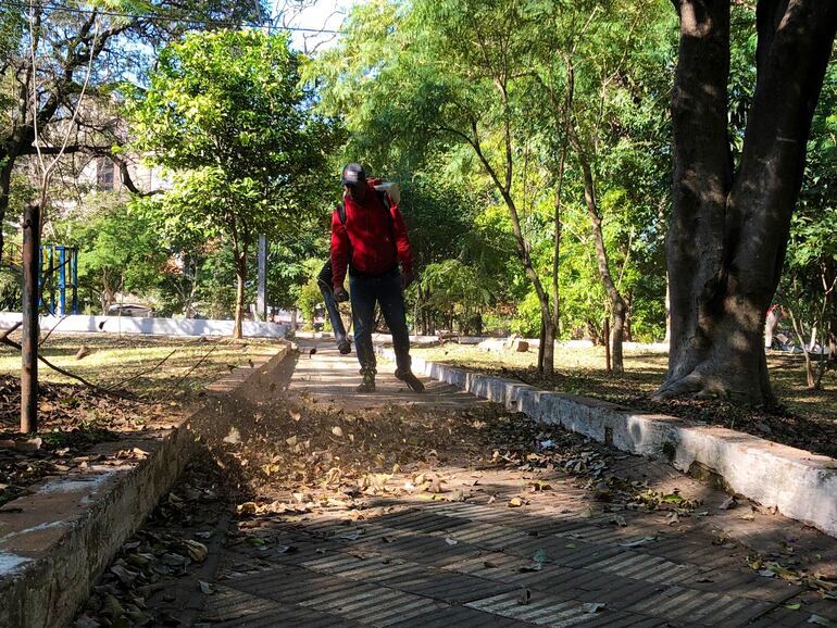 Funcionarios municipales recorren el Parque Carlos Antonio López trabajando en la limpieza.