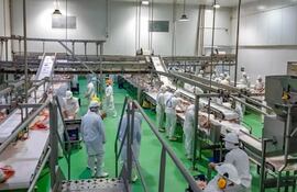 La producción porcina tiene buena aceptación, pero sufre el freno de la falta de financiamiento.