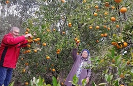 Raúl Arsenio Fretes y Eugenia Barreto llevan cuatro décadas dedicados a la producción familiar de hortalizas y cítricos.