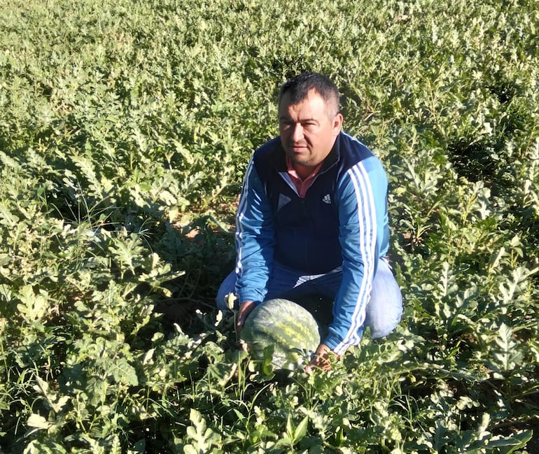 Con esfuerzo y orgullo, Ángel Arenas cultiva en Altos sandías rojas, frescas y de gran calidad.