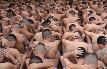 Fotos de varios miembros de las Maras Salvatruchas detenidos en El Salvador.