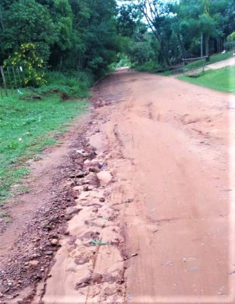 Paisaje de camino rural en zona boscosa, sin personas visibles, rodeado de vegetación densa y con señales de posible abandono.