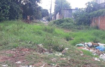 En estas condiciones se encuentra la calle 30 de agosto de la compañía Cañadita de la ciudad de Ñemby.