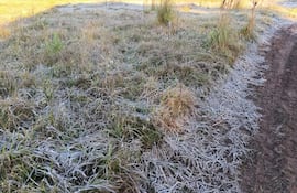 La helada cubrió de blanco los campos de Carapeguá, donde la temperatura descendió hasta los 3 °C.