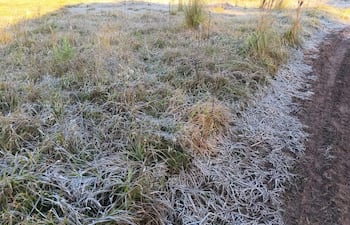 La helada cubrió de blanco los campos de Carapeguá, donde la temperatura descendió hasta los 3 °C.