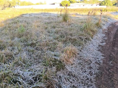 La helada cubrió de blanco los campos de Carapeguá, donde la temperatura descendió hasta los 3 °C.