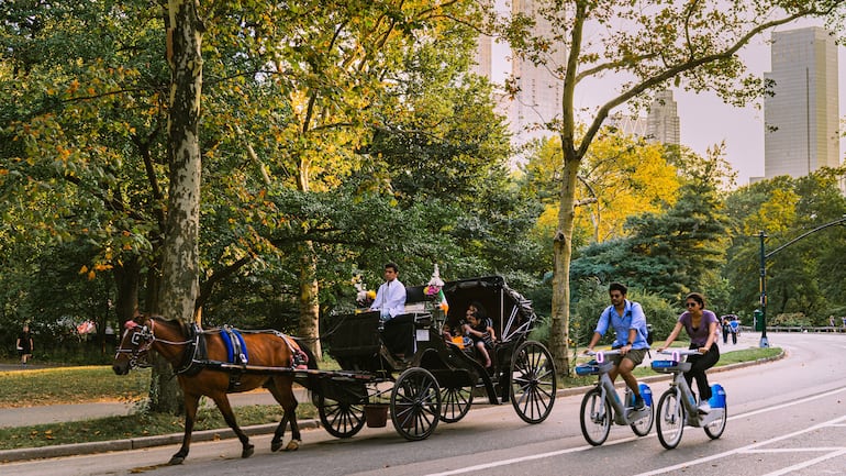 Nueva York se encamina a poner fin a los tradicionales paseos en carruajes tirados por caballos, una de las estampas turísticas de Central Park, después de que el alcalde, Zohran Mamdani, y la presidenta del Concejo Municipal, Julie Menin, alcanzaran un acuerdo para prohibir esta actividad a partir de junio de 2028.