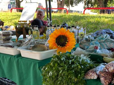 Feria agroecológica: proyecto de Pastoral Social para fortalecer la agricultura familiar en Itapúa