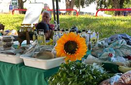 Feria agroecológica: proyecto de Pastoral Social para fortalecer la agricultura familiar en Itapúa