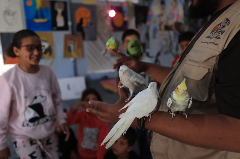 Niños palestinos desplazados participan en sesiones de contención psicológica en un estudio de arte que utiliza mascotas y aves para ayudar a los niños, en la zona de Al-Zawaida, en el centro de la Franja de Gaza, el 21 de abril de 2026.