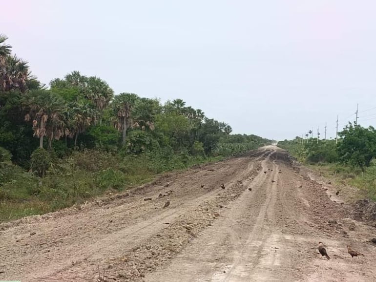 Camino de tierra recién trabajado de forma precaria