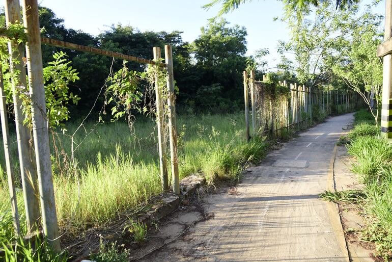Los varillas perimetrales fueron robadas durante años y reina la inseguridad en el Botánico.