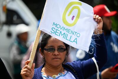 Congresistas de EEUU condenan intento de suspender partido opositor Semilla en Guatemala