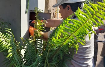 Cuadrillas de funcionarios de la ANDE y contratistas iniciaron hoy los cortes de energía eléctrica a clientes que adeudan desde tres facturas en adelante.
