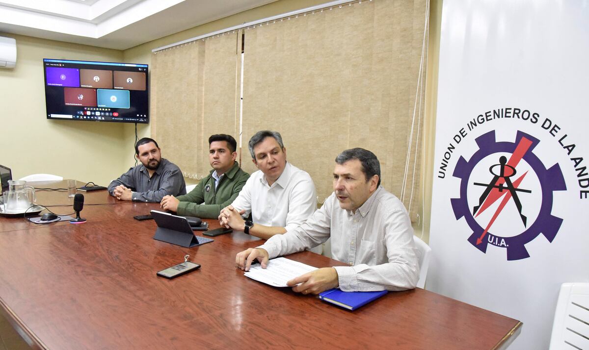 Gremios de ANDE: ¿qué dicen sobre los proyectos que crean el Ministerio de Energía y el Ente Regulador?