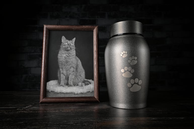 Día Mundial en Memoria de las Mascotas.