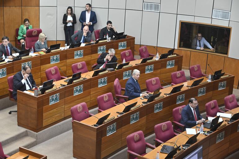 Sesión de la Cámara de Senadores. 