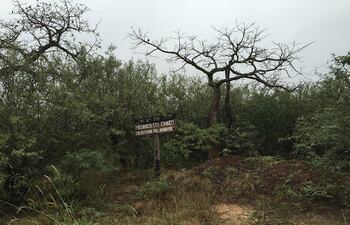 Medanos fue declarado parque nacional en 2016, pero la autorización para la prospección de hidrocarburo fue dada por ley en 1983,