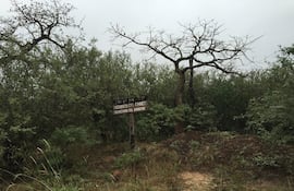 Medanos fue declarado parque nacional en 2016, pero la autorización para la prospección de hidrocarburo fue dada por ley en 1983,