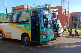 La presentación de los buses que estarían operando en Coronel Oviedo.