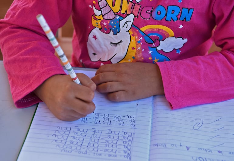 Solo el 56,3% logra terminar los 12 años de escolaridad.