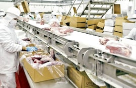El comercio mundial de carne alcanzaría unos 42 millones de toneladas, volumen similar al reportado en el 2022, según señalaron desde la Organización de las Naciones Unidas para la Alimentación y la Agricultura.