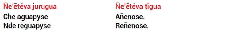 Ñe’etéva reko ñemoambue