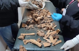 Investigadores con guantes analizan restos óseos en un laboratorio, enfocándose en piezas cubiertas de tierra.
