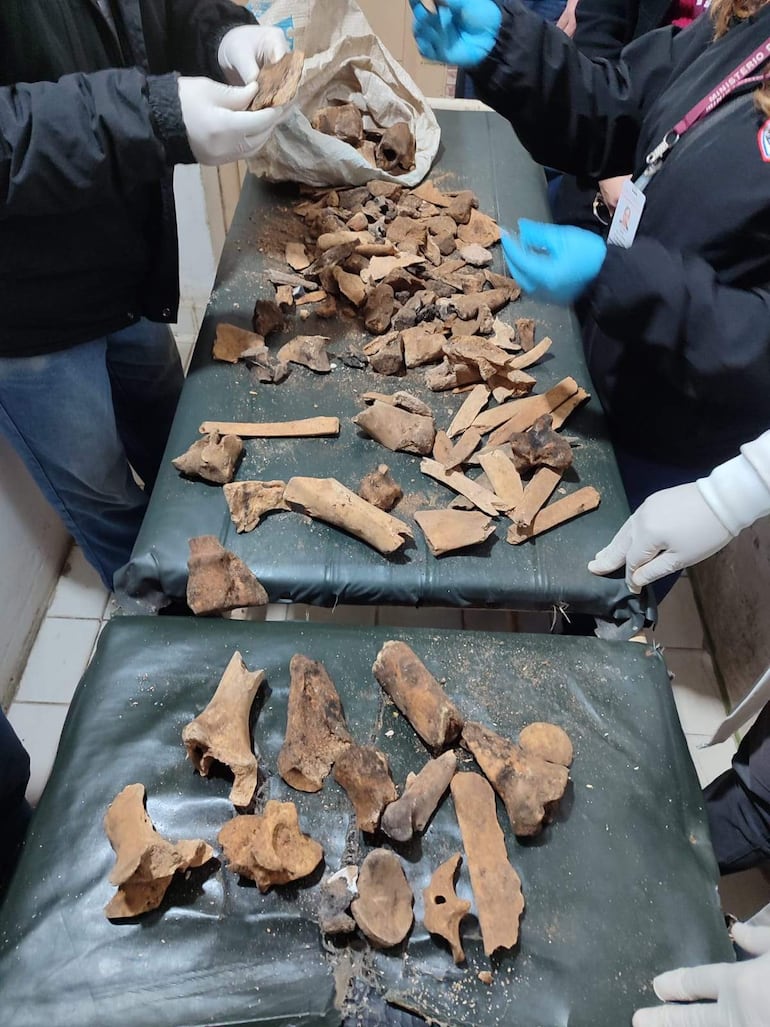 Investigadores con guantes analizan restos óseos en un laboratorio, enfocándose en piezas cubiertas de tierra.