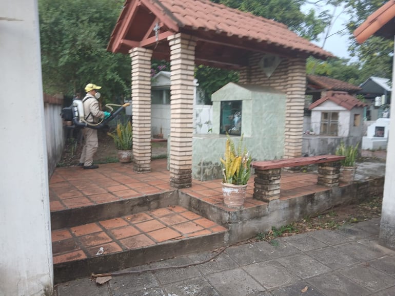 Misiones: Senepa despliega operativo Semana Santa para prevenir el dengue