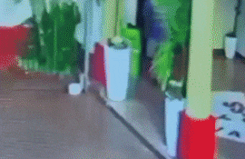 Simuló rezar en el Santísimo y terminó robando el celular del párroco