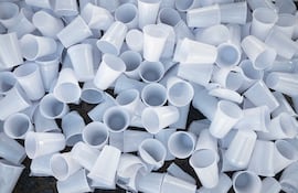 Vasos descartables de plástico