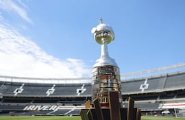 Fotografía del trofeo de la Copa Libertadores este viernes, en el estadio Más Monumental en Buenos Aires (Argentina). Botafogo y Atlético Mineiro disputarán la fina de la Copa Libertadores este 30 de noviembre en el Más Monumental.