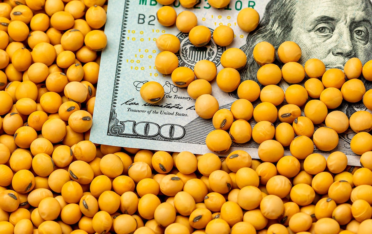 Exportaciones crecen: ¿Cuáles fueron los rubros más dinámicos hasta setiembre?