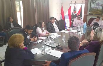 Concejales departamentales de Amambay, en sesión.