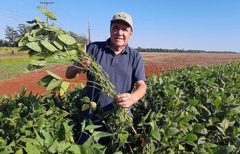 Estadísticamente, el décimo departamento de Alto Paraná es el mayor productor de soja del país, con más de 930.000 hectáreas cultivadas.