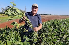 Estadísticamente, el décimo departamento de Alto Paraná es el mayor productor de soja del país, con más de 930.000 hectáreas cultivadas.