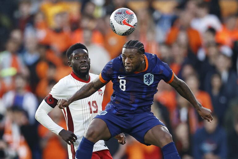 Rotterdam (Netherlands), 06/06/2024.- Alphonso Davies of Canada (L) and Georginio Wijnaldum of Netherlands in action during the international friendly soccer match between Netherlands and Canada, in Rotterdam, Netherlands, 06 Junee 2024. (Futbol, Amistoso, Países Bajos; Holanda) EFE/EPA/MAURICE VAN STEEN

