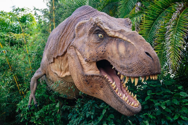 Dinosaurio T-Rex, imagen ilustrativa.