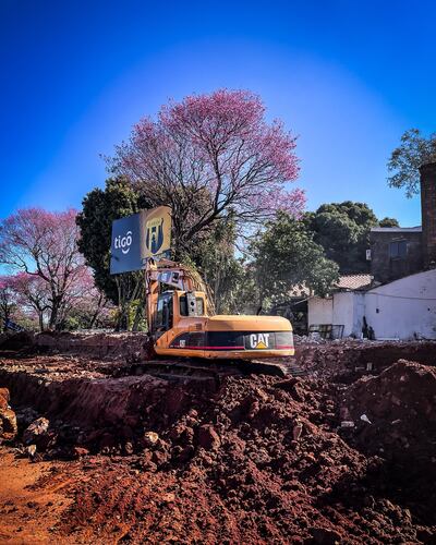 Hermosa gráfica que contempla la máquina excavadora y el colorido tajy (lapacho) de fondo, en el barrio Pinozá de Asunción, en la sede de Guaraní.