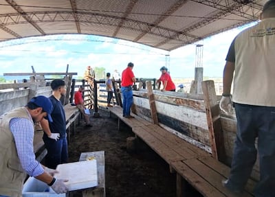 Reclaman vacunación de operarios de Barrerito y funcionarios de Senacsa en Quyquyhó.