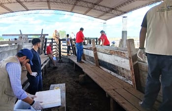 Reclaman vacunación de operarios de Barrerito y funcionarios de Senacsa en Quyquyhó.